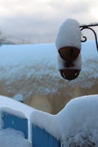 Taos in winter